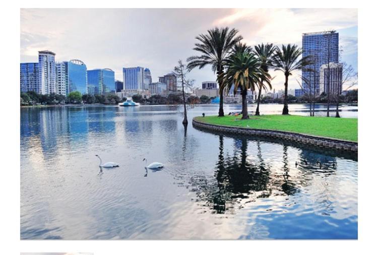 College Park-Orlando 5Star Villa Oasis - Home Away From Home - Quiet Neighborhood-Private Botanical Courtyard - Mins From Eola,Dt, Winter Park - Free Parking & Ev Plug In Kültér fotó